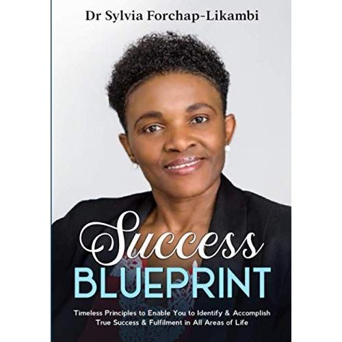 Success Blueprint