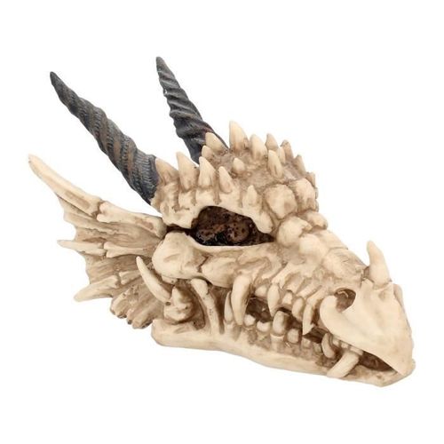 Nemesis Now - Crâne de Dragon Ivoire 20 cm