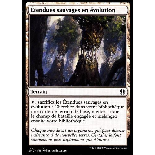 Étendues Sauvages En Évolution - Mtg - Commander Renaissance De Zendikar - C - 129