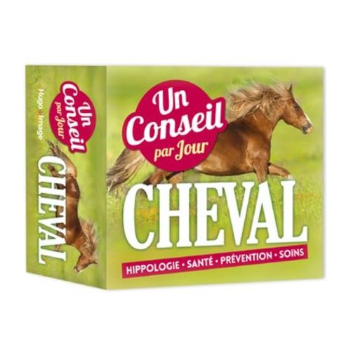 Un Conseil Par Jour Cheval 2019 - Hippologie - Santé - Prévention - Soins