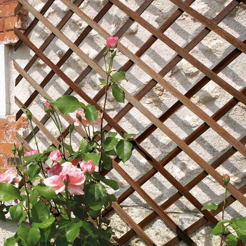 Treillis En Bois Fsc Extensible Trelliwood - 1 X 2 M - Marron