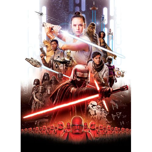 Papier Peint Star Wars Movie Modèle Rey 184x254