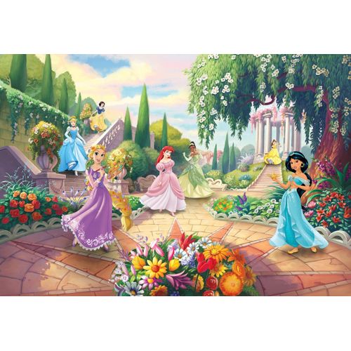 Papier Peint Photo Les Princesses Disney au parc 368cm x 254cm