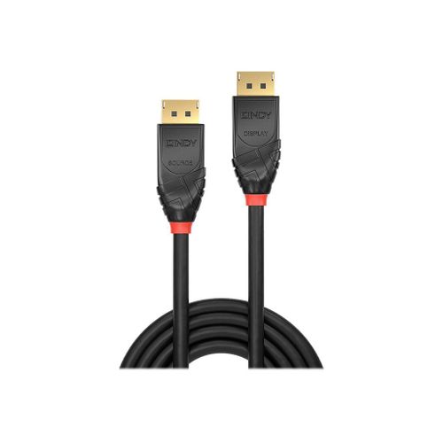Lindy - Câble DisplayPort - DisplayPort (M) pour DisplayPort (M) - DisplayPort 1.2 - 15 m - sans halogène, rond, support 4K - noir