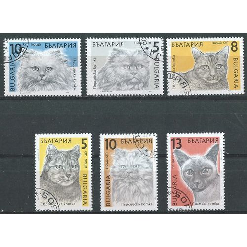 Timbres Bulgarie Oblitérés Série Sur Les Chats 1989 N° 3286 À 3291