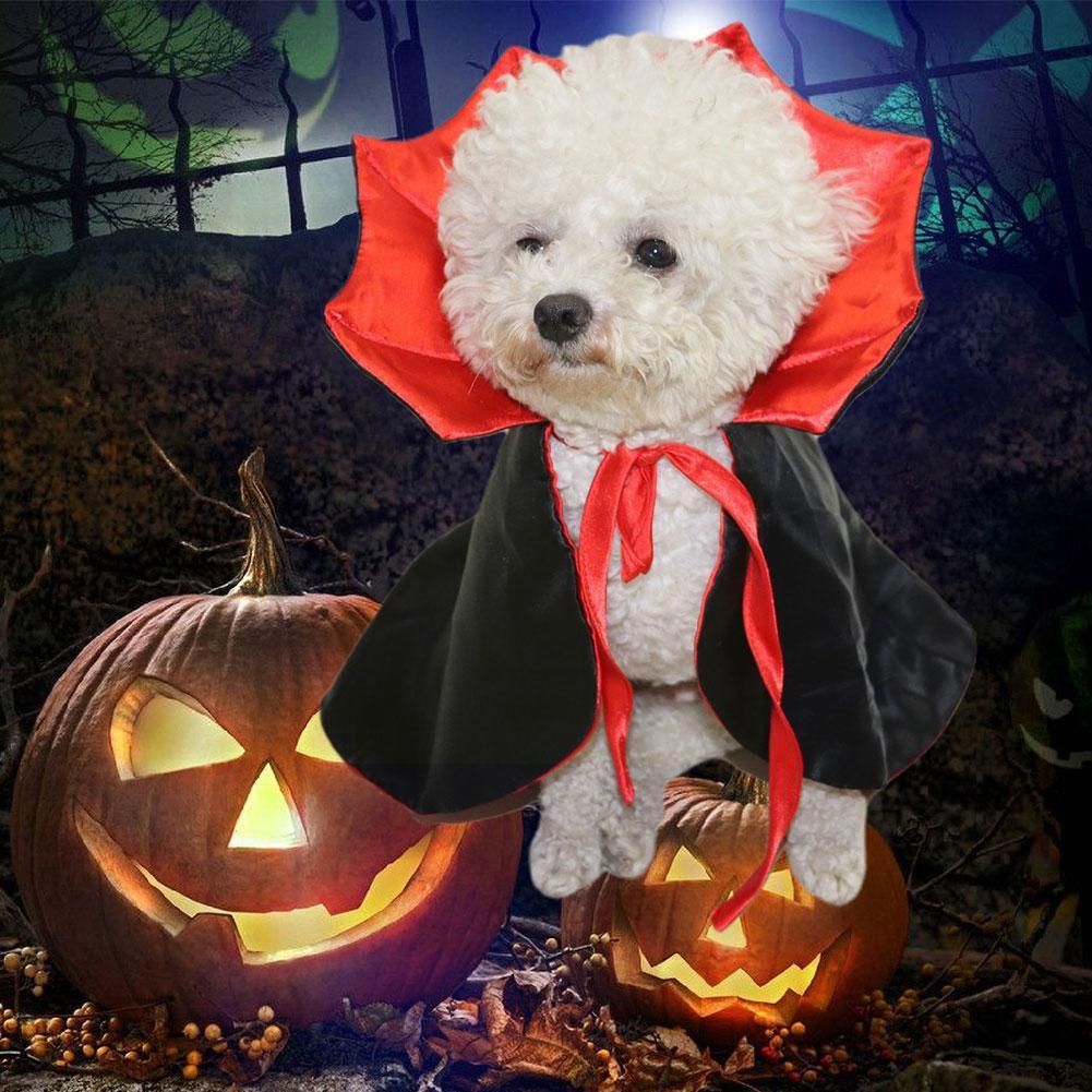 JOKOTI Costume D'Halloween Pour Chats Et Chiens - Aile De Chauve-souris