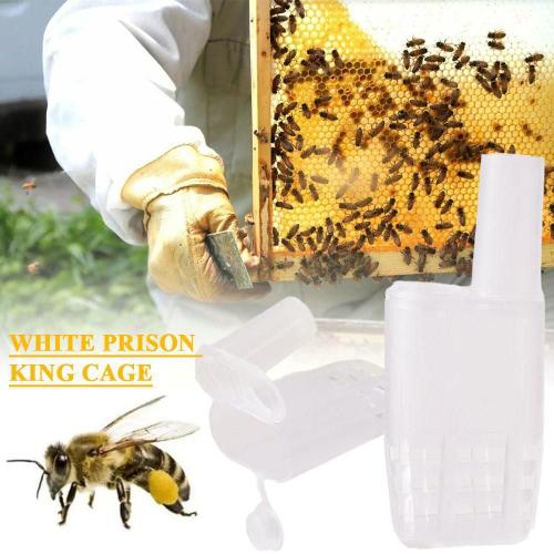 Cages Blanches Pour L'apiculture, Équation De Sécurité De La Reine, Protection De La Reine, Outils D'apiculture, Équipement, Q0o3, 30 Pièces