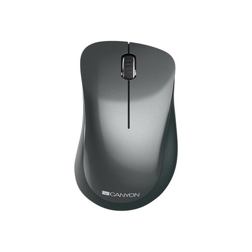 Canyon MW-11 - Souris - pour droitiers - optique - 3 boutons - sans fil - 2.4 GHz - récepteur sans fil USB - noir