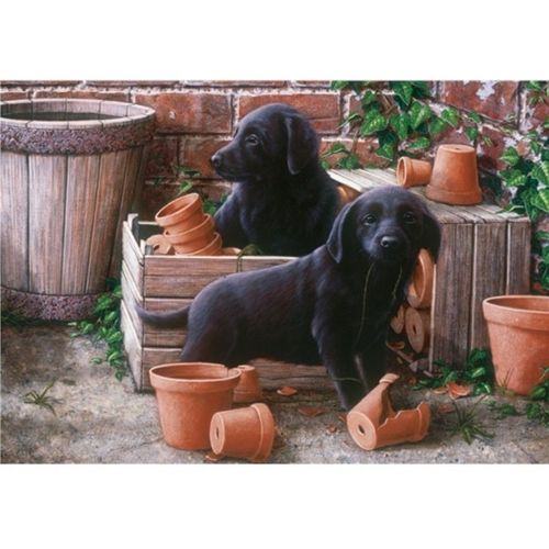 Bill & Ben - Puzzle 500 Pièces