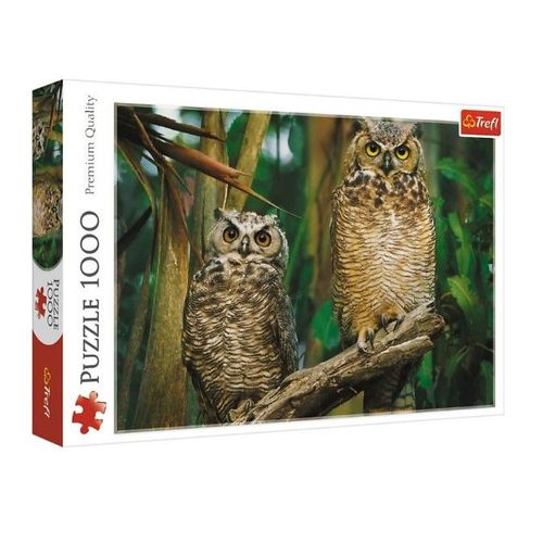 Hiboux - Puzzle 1000 Pièces