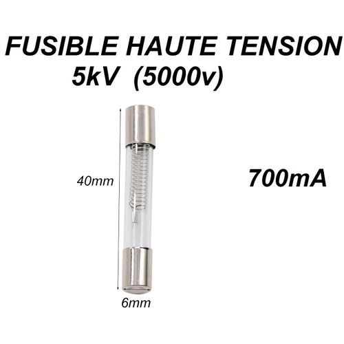 Fusible haute tension pour micro-ondes 5KV 0.7A (700mA)