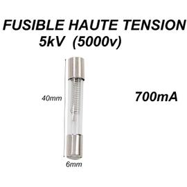 NEUF 900mA Fusible haute tension pour micro-ondes 5KV 0.9A