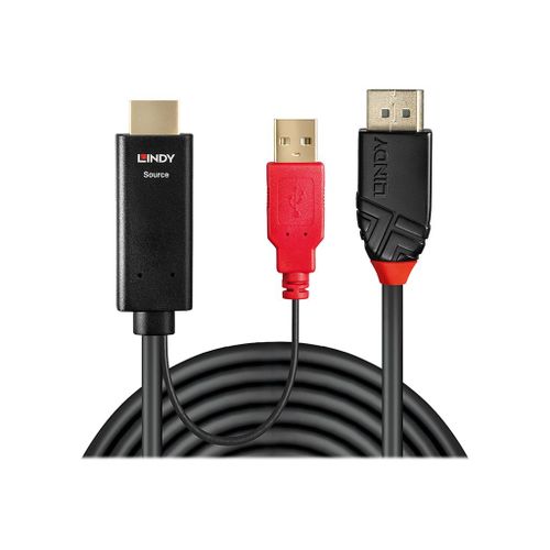 Lindy - Câble vidéo/audio - USB, HDMI mâle pour DisplayPort mâle - 2 m - blindé - noir - rond, support 4K, actif