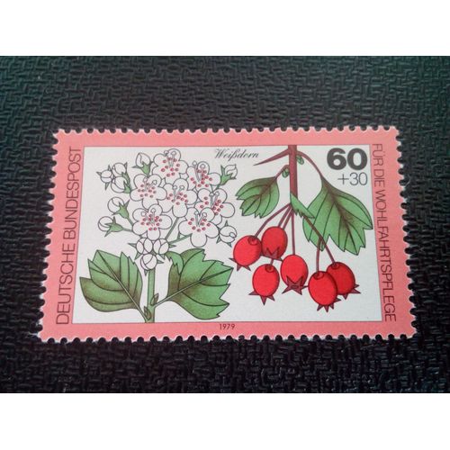 Timbre Allemagne / Rfa Yt 872 Aubépine 1979 ( 0031004 )