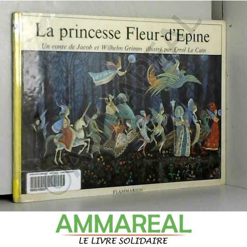 La Princesse Fleur-D'epine Ou La Belle Au Bois Dormant : Un Conte