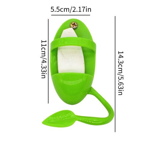 Support En Os De Poisson-Seiche Pour Cage À Oiseaux, Cage À Oiseaux, Gobelets D'alimentation, Accessoires De Stockage De Fruits Et Légumes