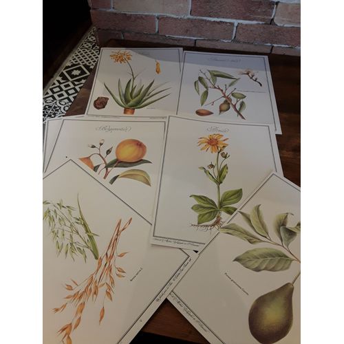 Lot De Pastels