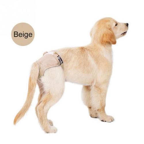 Nouvelle Couche Pour Femme, Sous-Vêtement Pour Chien, Fournitures Pour Animaux De Compagnie, Pantalons Hygiéniques Lavables Et Réutilisables, Anti-Tracas