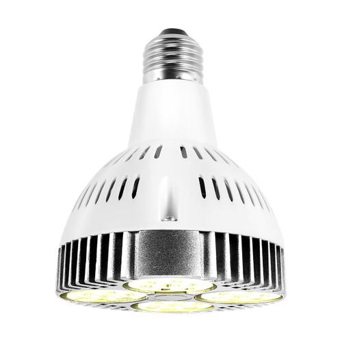 E27 Plante Lampe Ampoule 35W LED éLèVent la LumièRe Spectre Blanche Chaude pour Serre de Jardin IntéRieur