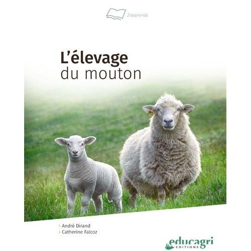 L'élevage Du Mouton
