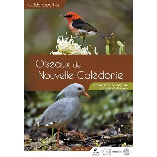 Guide Des Oiseaux De Nouvelle-Calédonie - Grande Terre, Iles Loyauté Et Archipels Éloignés