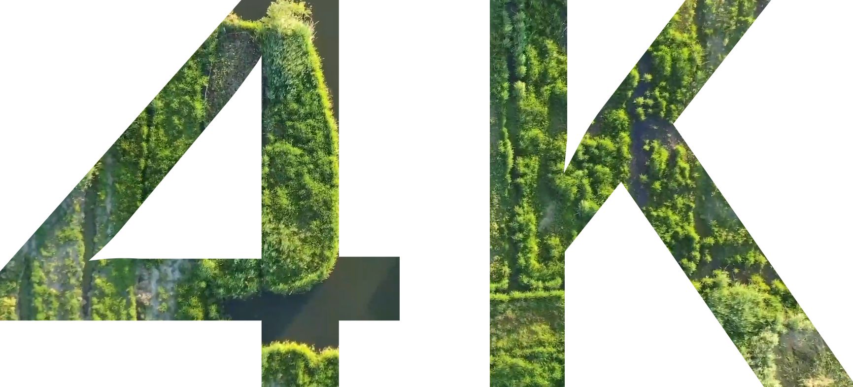 null image 6 | Rakuten
