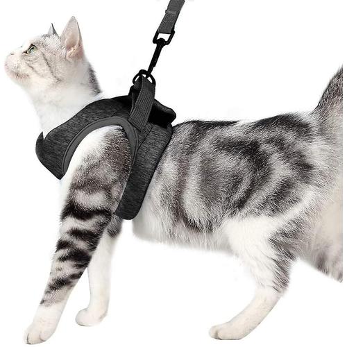 Ensemble Harnais Et Laisse Légers Pour Chat, Gilet À Col Pour Chaton Doux Et Confortable