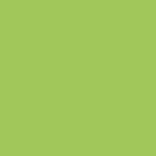 FAIENCE Carrelage mural - Blister de 5 carreaux - 15 x 15 cm - Vert pistache