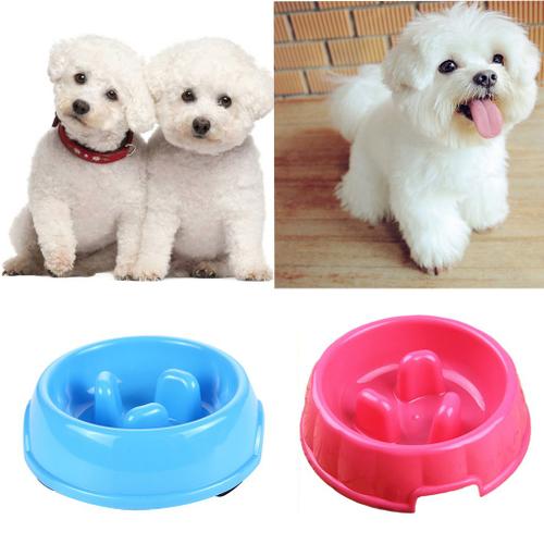 2pcs Chien Gamelle Anti-glouton Bol Distributeur du0027Alimentation d 