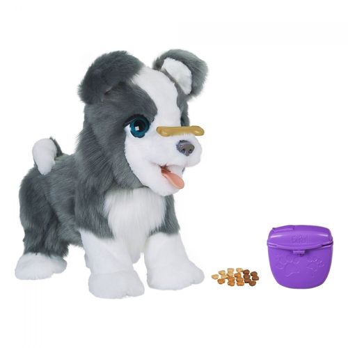 Hasbro Frr Ricky, Le Petit Chien Très Malin