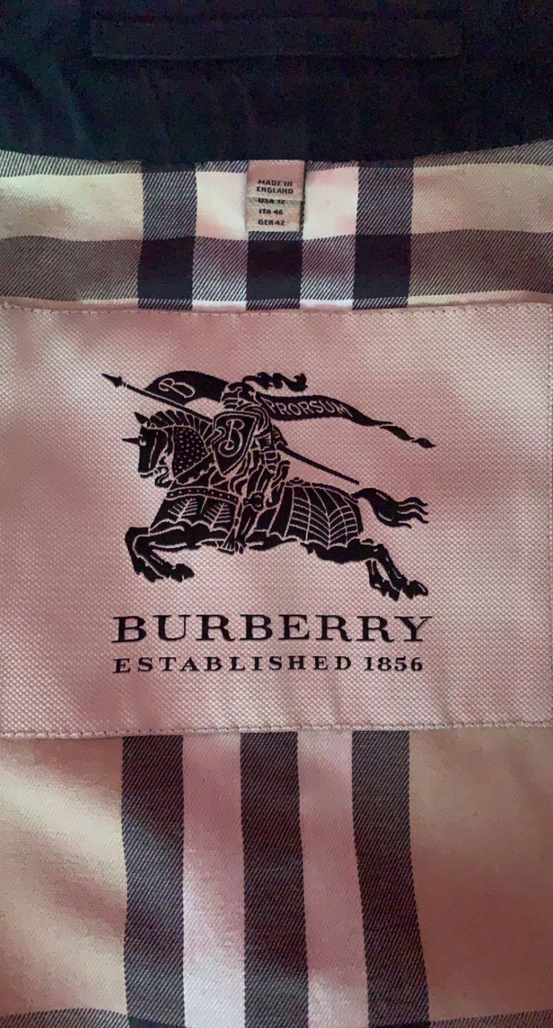 established 1856 burberry logo gold Custom Iphone 13 Pro Case