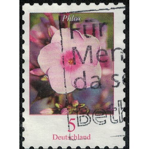Allemagne 2019 Oblitéré Used Fleur Phlox Drummondii Su