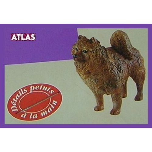 Chien Spitz N°50 ( Collection Mon Chien Mon Ami ) Editions Atlas