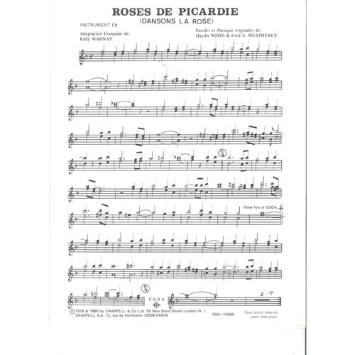 Roses De Picardie