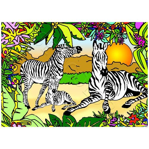 Famille Zebre