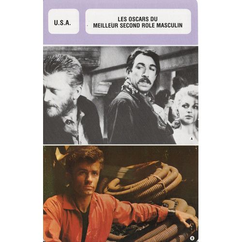 Fiche Monsieur Cinema Les Oscars Du Meilleur Second Rôle Masculin