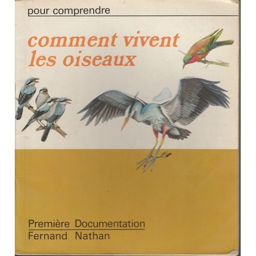 Comment Vivent Les Oiseaux