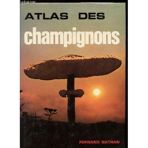 L Atlas Des Champignons