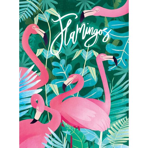 Puzzle Adulte Puzzle Fantastic Animal 500 Pièces - Flamants