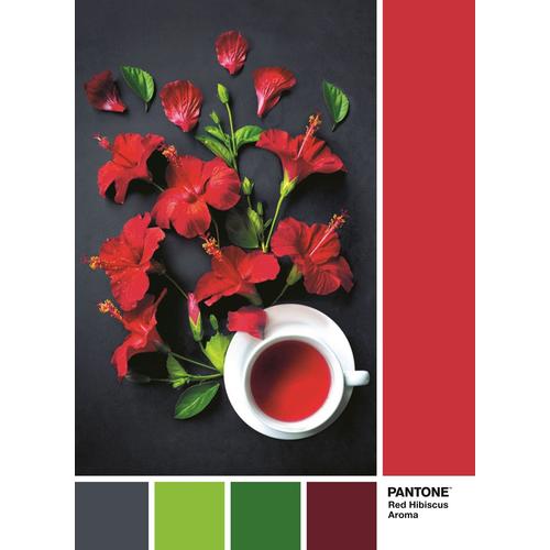 Puzzle Adulte Puzzle Pantone 1000 Pièces - Goji Berry