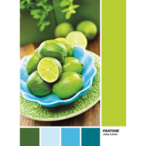 Puzzle Adulte Puzzle Pantone 1000 Pièces - Lime Punch