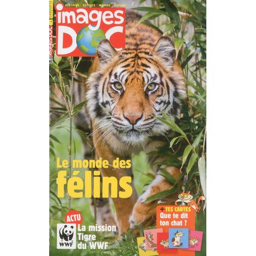 Images Doc 361 Le Monde Des Felins