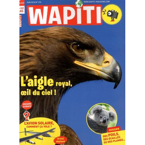 Wapiti 375 L'aigle Royal, Oeil Du Ciel !