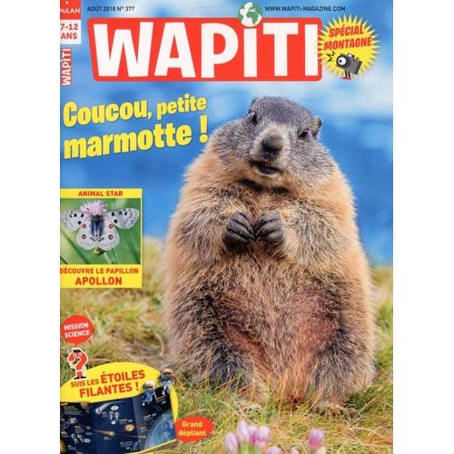 Wapiti 377 Coucou, Petite Marmotte !