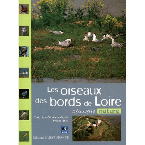 Les Oiseaux Des Bords De Loire