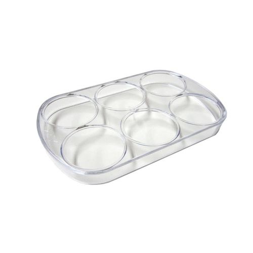 BAC A OEUFS (6) (152X95X20) SCHOLTES POUR REFRIGERATEUR - C00090981