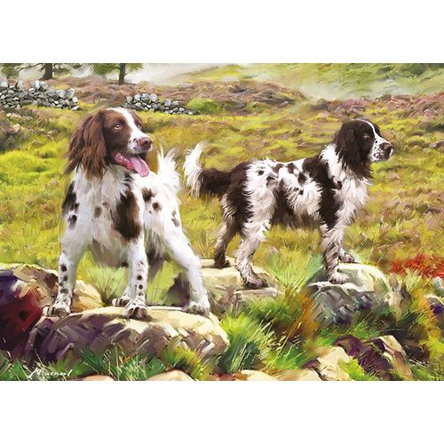 Spaniel On Moor - Puzzle 1000 Pièces