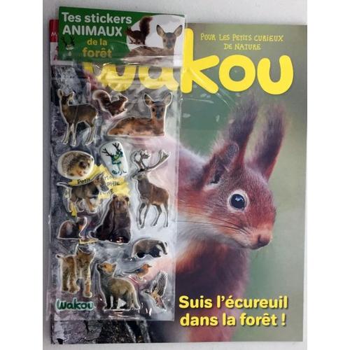 Wakou 356 Suis L'écureuil Dans La Forêt !