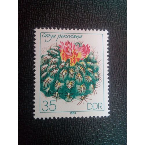 Timbre Allemagne / Rda Yt 2449 Cactus Oroya Peruviana 1983 ( 021104 )