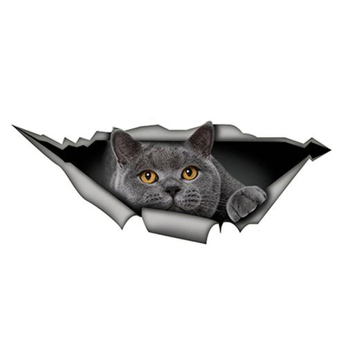 Autocollant De Voiture Intéressant, Accessoires En Vinyle Britannique Short Air Drôle Chat Gris, Autocollant Réfléchissant Pour Fenêtre De Voiture, Pvc 15cm X 6cm